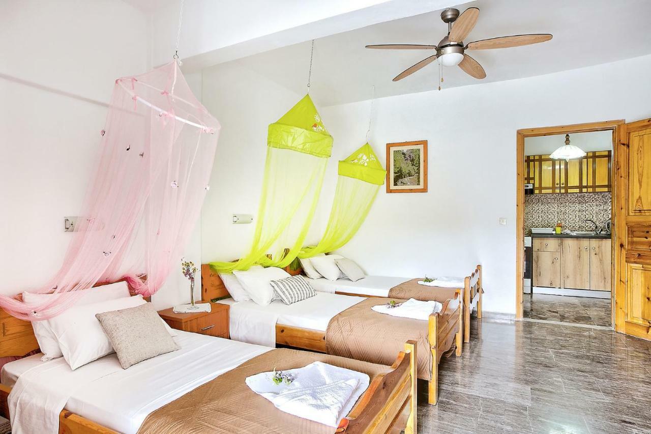 Villa Danai Agios Georgios Pagon Eksteriør billede